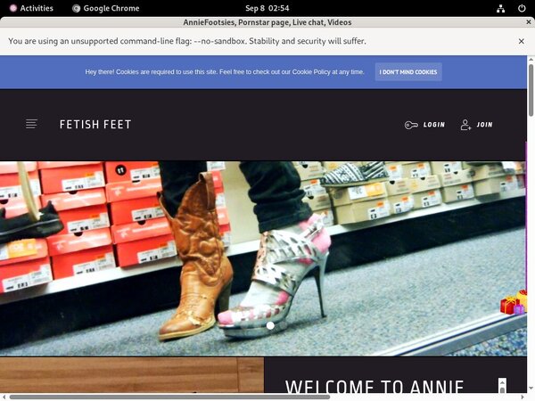 AnnieFootsies Accounts And Passwords