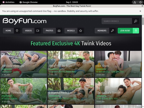 Boy Fun Limited Sale