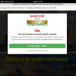 Brazilian Transsexuals Password Info