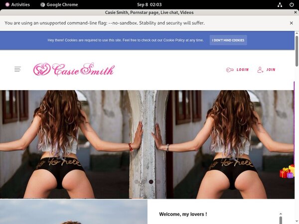 Casie Smith Full Website