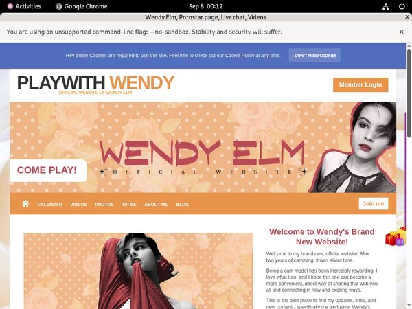 Elm Wendy Passwords