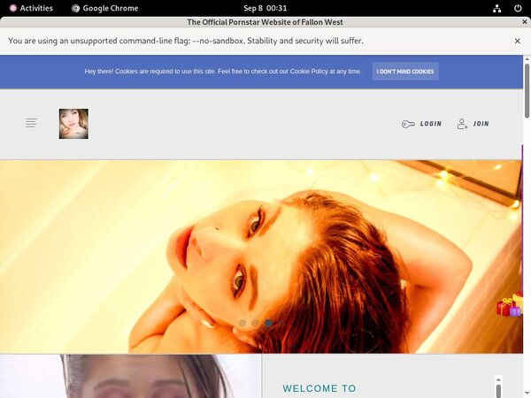 FallonWest Using Pay Pal