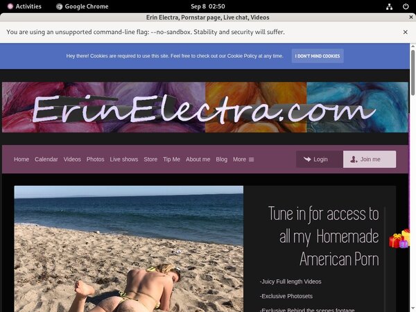 Free Erin Electra Password