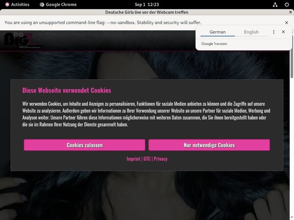 Free Lanagiselle.tv Site Rip