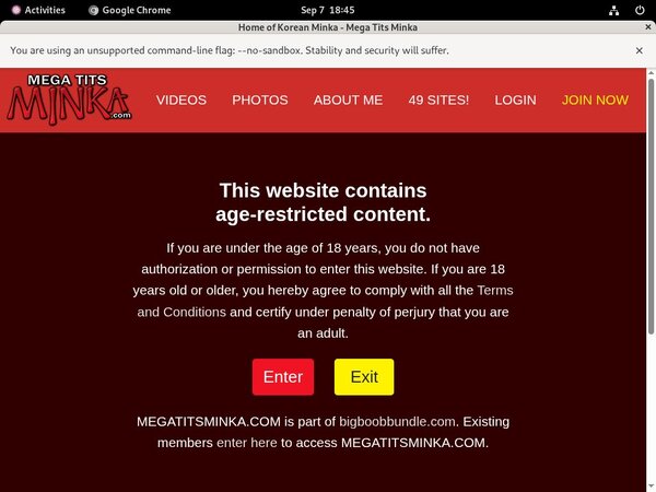 Free Passwords Megatitsminka.com