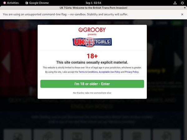 Free UK TGirls Passes