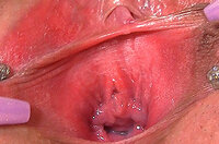 Gapemypussy.compassword s4
