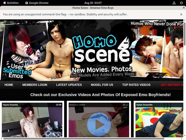 Homo Scene Sex Movies