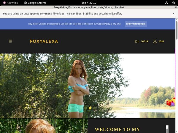 How To Access FoxyAleksa