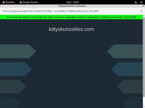 [Image: Kittys-Kuriosities-With-Euros.jpg]
