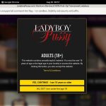 Ladyboy Pussy Porn Free