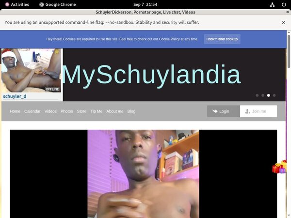 Myschuylandia.com Stars