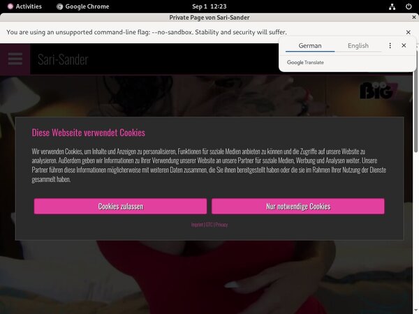 Sari-sander.com Porn Pics