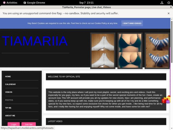 Tepasilveri.modelcentro.com Netbilling