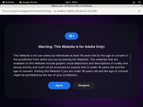 VR Porn Paypal Discount