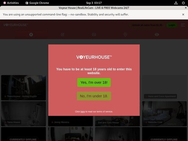 Voyeurhouse.com Stories