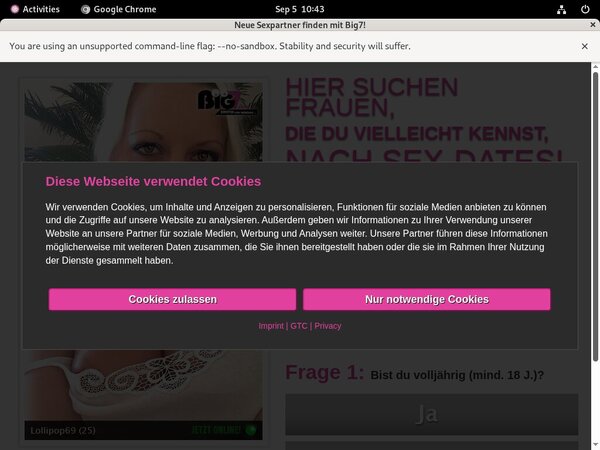 Your Secret Dream With ECheck