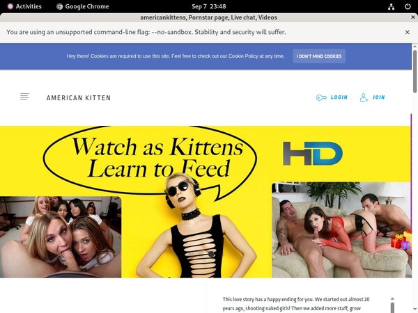 Americankitten.com Promo Id
