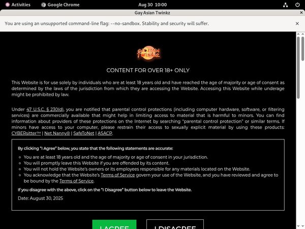 Gayasiantwinkz Member Review