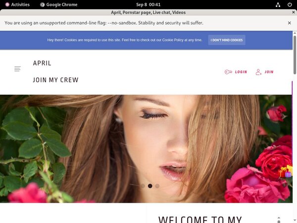 Get A Free Ladyapril.modelcentro.com Membership