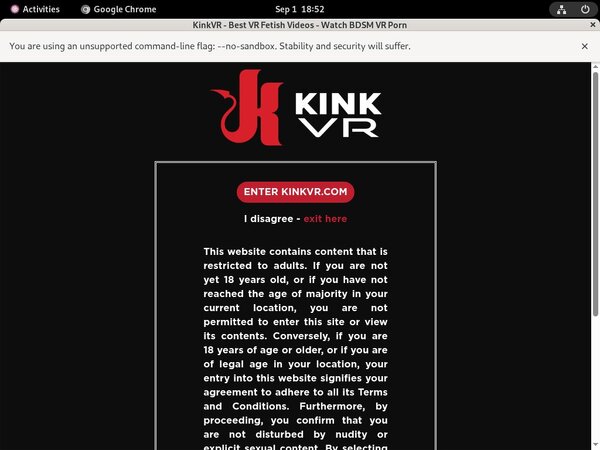 Kink VR Membership Deal