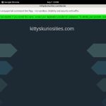 Kitty’s Kuriosities Free Id