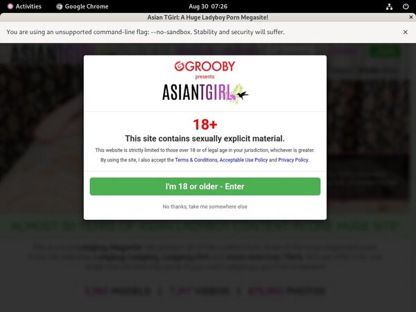 Ladyboy Ladyboy Web Billing