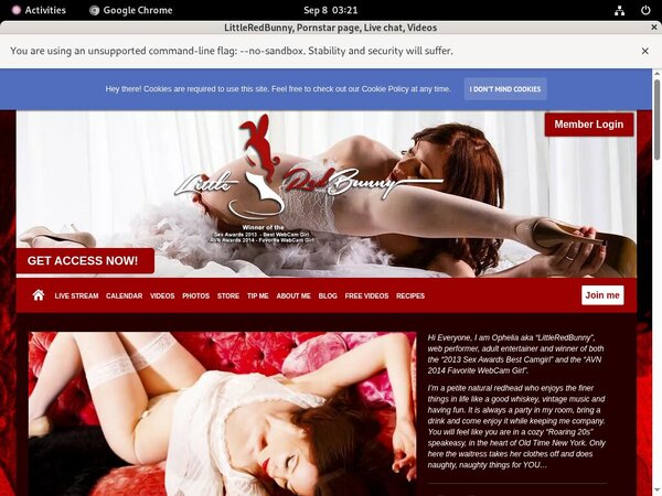 Porn LittleRedBunny