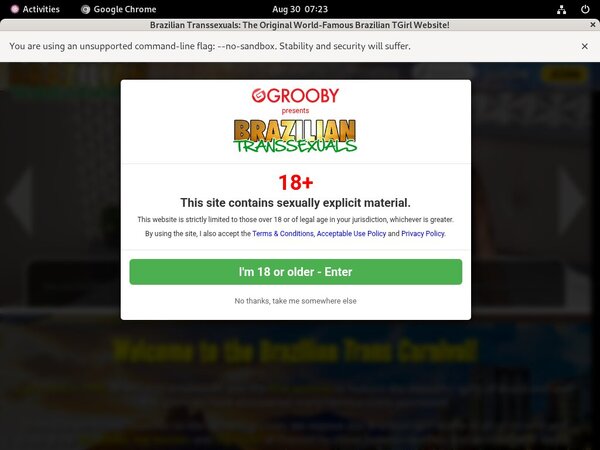 Who Is Brazilian-transsexuals.com