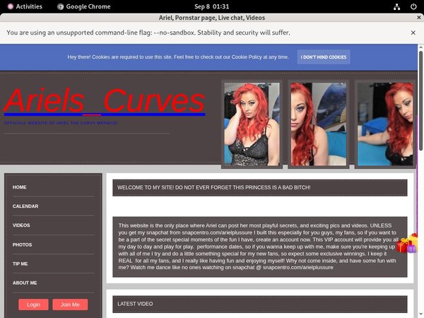 Xnxx Ariel