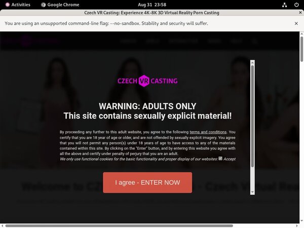 Cracked Czechvrcasting Account