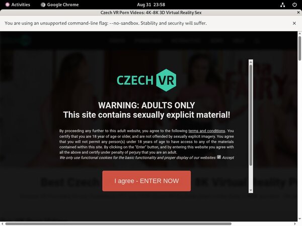 Czech VR Pass Login