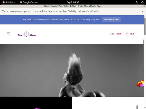 Free Black-hornis.net Logins