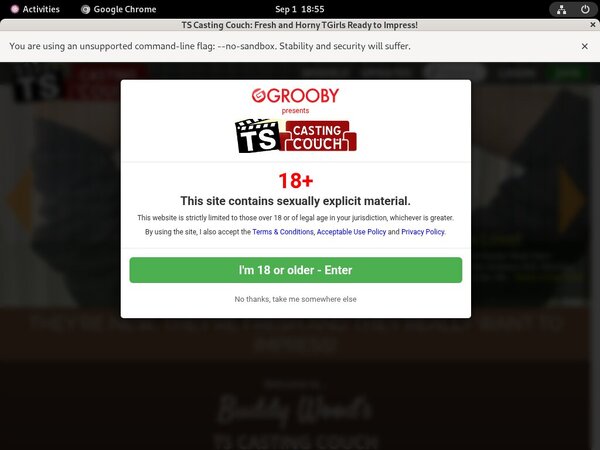 Get Ts-castingcouch.com Discount Membership