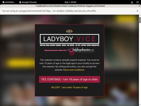 Ladyboy Vice Using Paypal