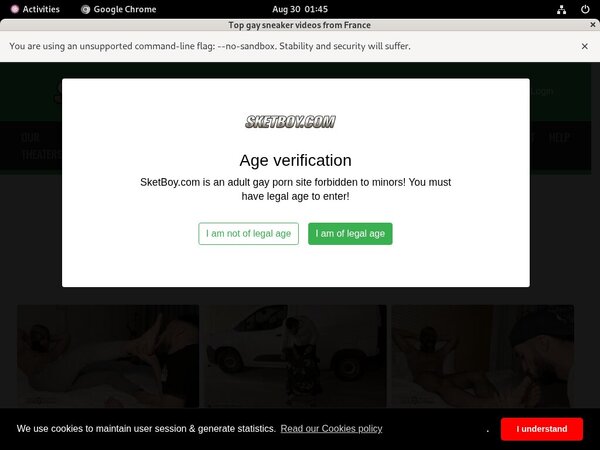 Logins For Sketboy.com Free