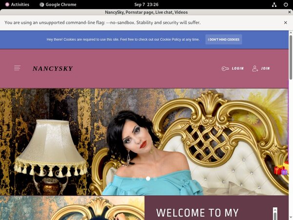 Password To NancySky