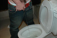 Pissing Boys pissing boys