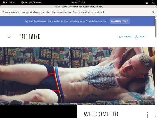 Tatttwink.com Price