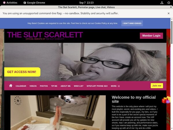 The Slut Scarlett Sale Price The Slut Scarlett Sale Price