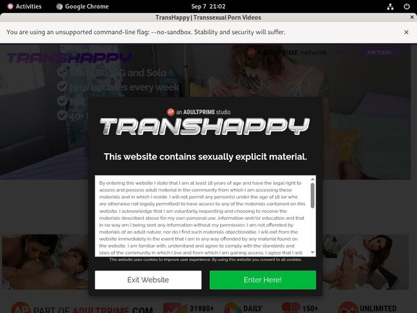 Transhappy Porno