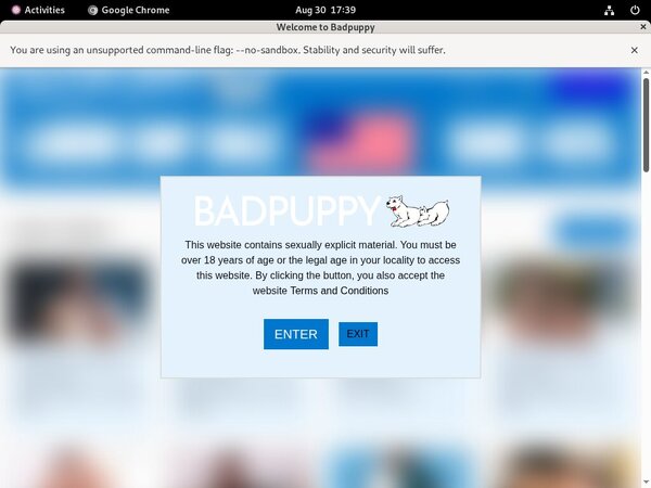 Badpuppy Acc Premium