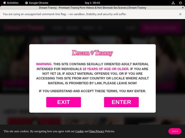 Free Trial Dreamtranny.com Membership