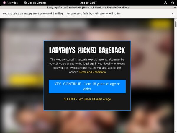 Ladyboysfuckedbareback Billing