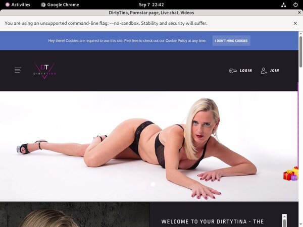 DirtyTina Login