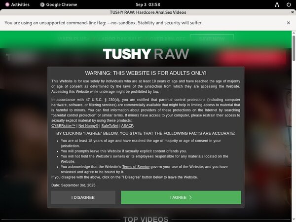 Free Video Tushy Raw