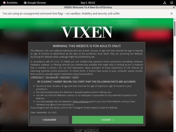 Vixen Guys